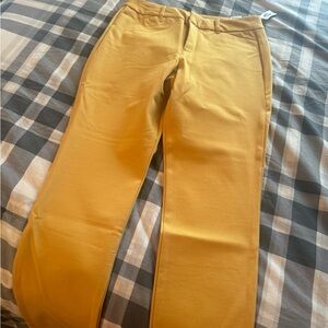 Never Worn w/ Tags Pixie Pant